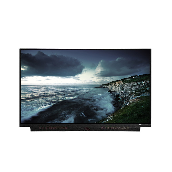 IT1160030 แผน LCD ขนาด 11.6 นิ้ว สําหรับ BOE 30 pin 1366*768 TFT LCD Screen