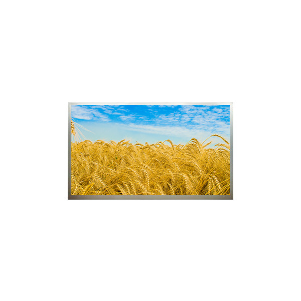 M216H1-L001 21.6 นิ้ว 1920*1080 FHD จอจอ LCD With Desktop Monitor