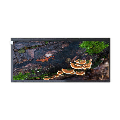 ราคาดี 12.3 นิ้ว HSD123KPW2-A10 50 พินหน้าจอแสดงผล LCD สำหรับจอแสดงผลยานยนต์ ออนไลน์