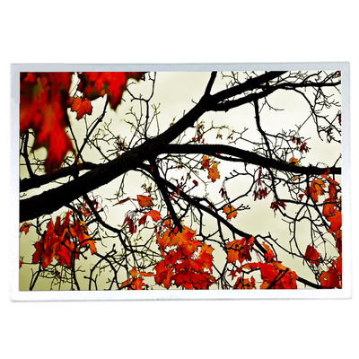 ราคาดี ขนาด 15.0 นิ้ว G150XTN06.B จอ LCD พร้อมอุตสาหกรรม ออนไลน์