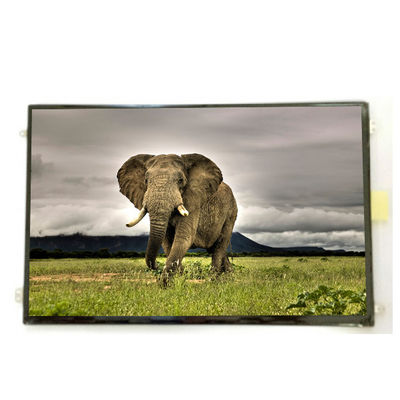 ราคาดี B101UAN01.9 10.1 นิ้ว 16.7M 52% NTSC จอจอ LCD ออนไลน์