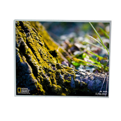 ราคาดี LM200WD3-TLF2 20.0 นิ้ว 1600 * 900 โมดูลจอ LCD สําหรับ LG ออนไลน์