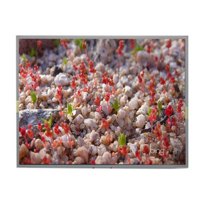 ราคาดี LM2011-SLWE01 หน้าจอ LCD ของเดิม 20.1 นิ้ว 1680*1050 ออนไลน์