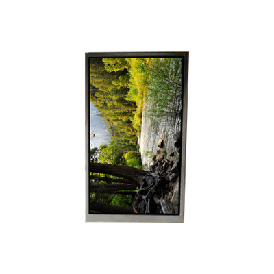 ราคาดี BA050WQ2-200 5.0 นิ้ว 480 * 272 จอ LCD สําหรับการนําทางพกพา ออนไลน์