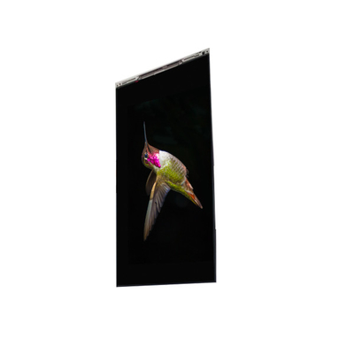 ราคาดี BS062FBE-L30-6Q00 6.3 นิ้ว LCD Display จอ LCD ออนไลน์