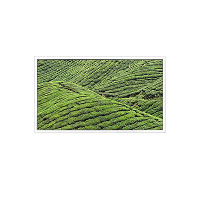 ราคาดี DV320WHD-NT0 32.0 นิ้ว 1366*768 จอ LCD สําหรับจอใส ออนไลน์