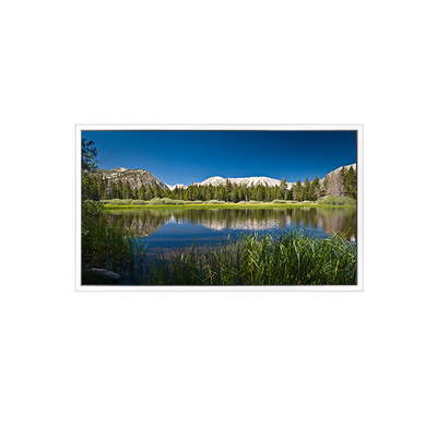 ราคาดี 65 นิ้ว 3840*2160 DV650QUB-R01 1.07B 72% NTSC แผ่นจอ LCD ออนไลน์