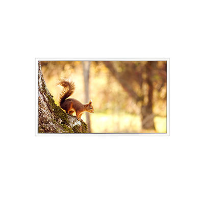 ราคาดี NEW EV156FHB-N12-2HP0 1920*1080 15.6 นิ้วจอ LCD สําหรับอุตสาหกรรม ออนไลน์