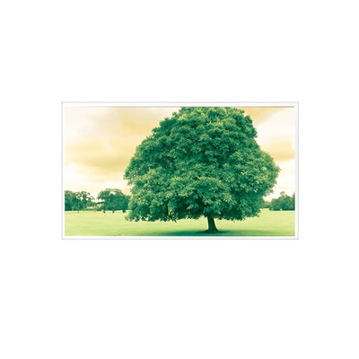 ราคาดี 1600*1200 TDA150-005V01 15.0 นิ้ว 60Hz 1000:1 จอจอ LCD ออนไลน์