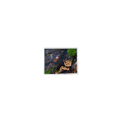 ราคาดี 5.7 นิ้ว PD057VU8 640*480 60Hz LCD Screen สําหรับอุตสาหกรรม ออนไลน์
