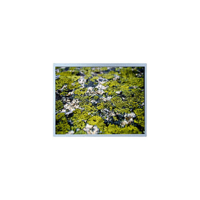 ราคาดี 1024*768 12.1 นิ้ว PD121XL9 4S6P WLED 60Hz LCD Panel Screen ออนไลน์