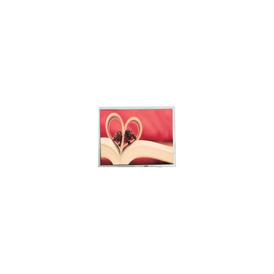 ราคาดี PM062WY1 6.2 นิ้ว 800*480 WLED 262K แผ่นจอ LCD ออนไลน์