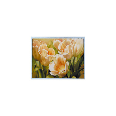 ราคาดี 9.0 นิ้ว 1024*600 AM-1024600Y2TZQW-A0H TFT 1200 cd/m2 แผ่นจอ LCD ออนไลน์