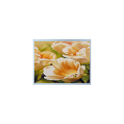 ราคาดี 1024*600 AM-1024600Y3TZQW-A1H 9.0 นิ้ว TFT 300 cd/m2 ส่วนจอ LCD ออนไลน์