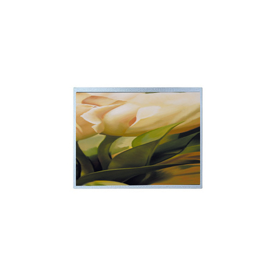 ราคาดี AM-1024600YTZQW-00H 1024*600 9.0 นิ้ว TFT 500 cd/m2 แผ่นจอ LCD ออนไลน์