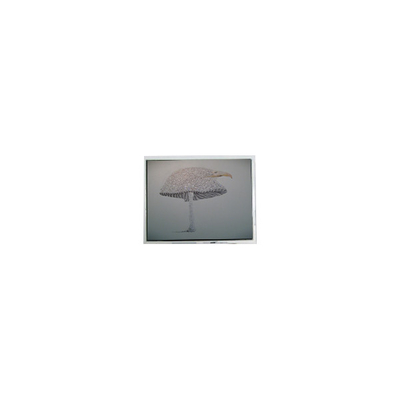 ราคาดี 9.4 นิ้ว DMF-51043NFU-FW 640*480 จอ LCD แพเนล ออนไลน์