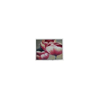 ราคาดี NEW T-55548GD057JU-LW-AAN 5.7 นิ้ว 262K LCD Screen ส่วน ออนไลน์