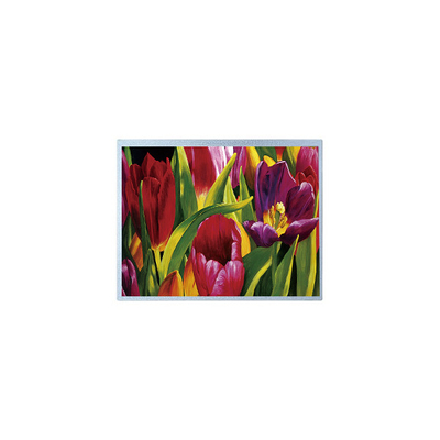 ราคาดี คุณภาพสูง 14.0 นิ้ว P1400FHF1MA00 TFT แผ่นจอ LCD ออนไลน์