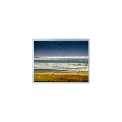 ราคาดี 10.1 นิ้ว HSD101GWW5-A00-0220 1280*800 โมดูลจอ LCD ออนไลน์