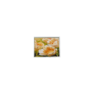 ราคาดี ES13BB0FLW 128*64 2.9 นิ้ว LCD Screen LCD Module สําหรับเครื่องมือ ออนไลน์