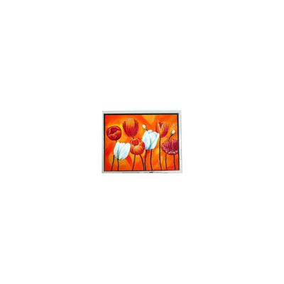 ราคาดี EW50397BCW 4.7 นิ้ว ขนาดเล็ก 320 * 240 75Hz lcd แผ่นจอ LCD ออนไลน์