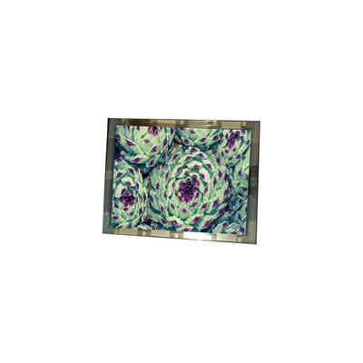 ราคาดี 276*128 EL4836HB-ICE 6.3 นิ้ว 110 cd/m2 แผ่นจอ LCD ออนไลน์