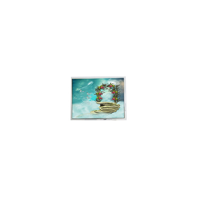 ราคาดี TFT1N5918 6.9 นิ้ว 800*480 LVDS จอจอ LCD ออนไลน์