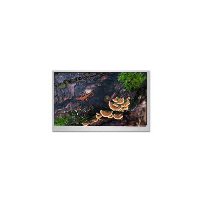 ราคาดี ในคลัง 23.8 นิ้ว PN238CT02-1 60Hz จอจอ LCD ออนไลน์
