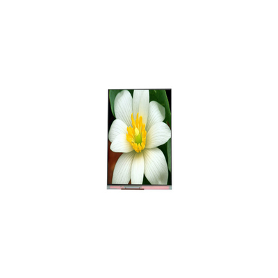ราคาดี PJ052IC-01C 5.2 นิ้ว 1080*1920 จอ LCD แผ่นจอ ออนไลน์