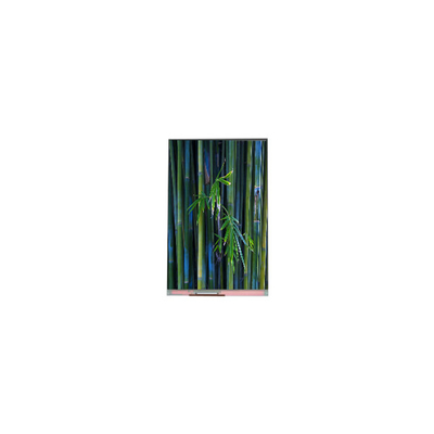 ราคาดี 1080*1920 PJ055IC-02M หน้าจอ LCD WLED 5.5 นิ้ว ออนไลน์