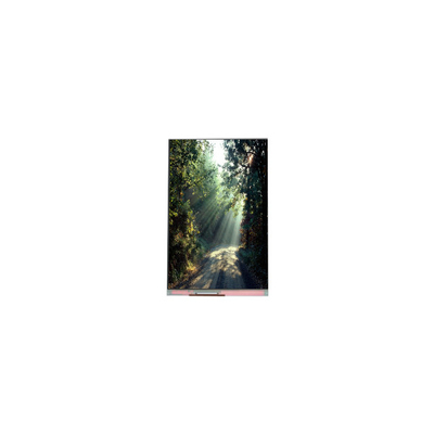 ราคาดี 5.2 นิ้ว 1080*1920 PM052IC-01L 1000:1 แผ่นจอ LCD ออนไลน์