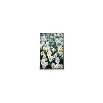 ราคาดี ตัวเดิม 1440*2560 PP055IA-09A หน้าจอ LCD ขนาด 5.5 นิ้ว ออนไลน์