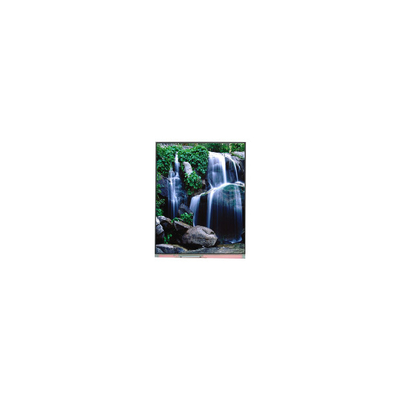 ราคาดี PP055IC-21C 5.5 นิ้ว 1080*1920 1000: 1 ชิ้นส่วนจอ LCD ออนไลน์