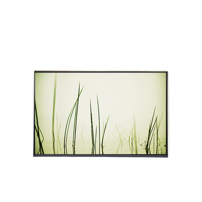 ราคาดี B160ZAN01.R lcd แผ่นจอเล็ปโปต 16.0 นิ้ว ออนไลน์