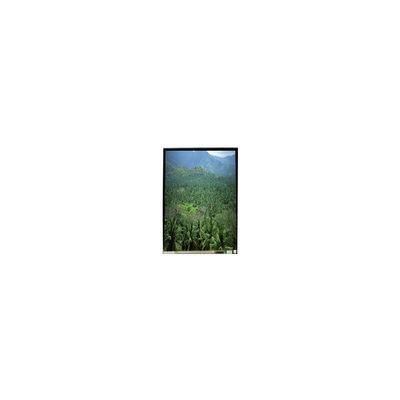 ราคาดี LS055B3SX04Z 5.5 นิ้ว 1920 * 3664 TFT แผ่นจอ LCD ออนไลน์