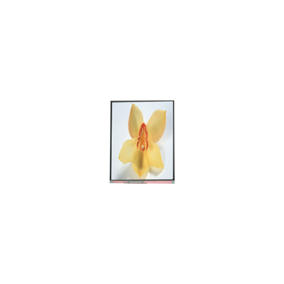 ราคาดี C050SWAN-0 5.0 นิ้ว 720 * 1280 แผ่นจอ LCD ออนไลน์
