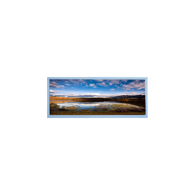 ราคาดี M102AWF2 R3 หน้าจอ LCD ขนาด 10.3 นิ้ว TFT LCD Panel สําหรับจอรถยนต์ ออนไลน์
