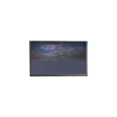 ราคาดี U055SWRA-1 5.5 นิ้ว แผ่นจอ LCD 720*1440 โมดูลจอ LCD ออนไลน์