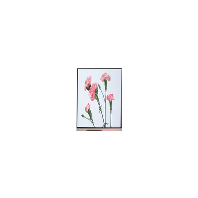 ราคาดี C060SWA3-3 6.0 นิ้ว 720*1280 จอจอ LCD สําหรับโทรศัพท์ ออนไลน์