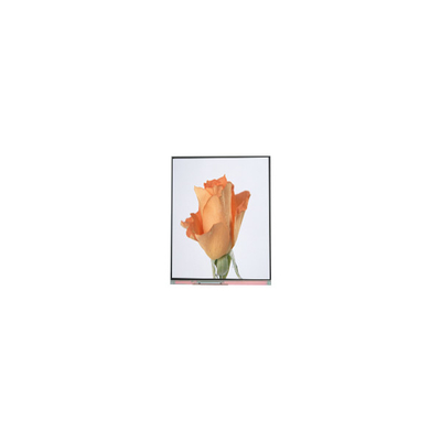 ราคาดี 720*1280 C052SWA2-1 5.2 นิ้วจอจอ LCD สําหรับโทรศัพท์ ออนไลน์