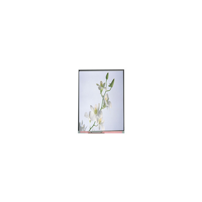 ราคาดี C060SWZ1-0 NEW 6.0 นิ้ว 540*960 จอจอ LCD ออนไลน์