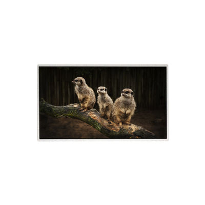 ราคาดี HR236WU1-310 23.6 นิ้ว 1920*1080 จอ LCD TFT แพเนล LCD ออนไลน์