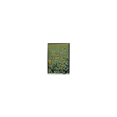 ราคาดี 720*1280 LS053K3SX01 5.3 นิ้ว tft lcd display LCD Screen สําหรับมือถือ ออนไลน์