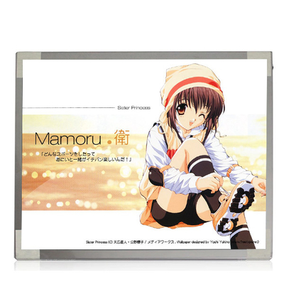 ราคาดี M170EP01 V0 1028*1024 TN, ปกติสีขาว, Transmissive 69 พินตัวเชื่อมต่อ LCD หน้าจอแล็ปท็อป ออนไลน์